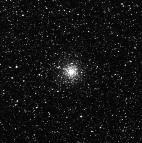 Imagem de referência (DSS2) de NGC 6293 — objeto ainda não capturado no observatório