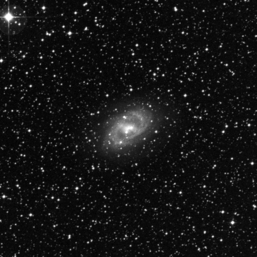 Imagem de referência (DSS2) de NGC 6300 — objeto ainda não capturado no observatório