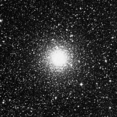 Imagem de referência (DSS2) de NGC 6388 — objeto ainda não capturado no observatório