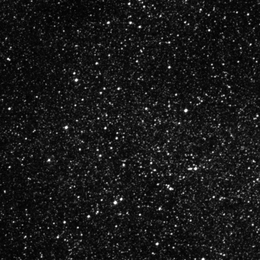 Imagem de referência (DSS2) de NGC 6469 — objeto ainda não capturado no observatório