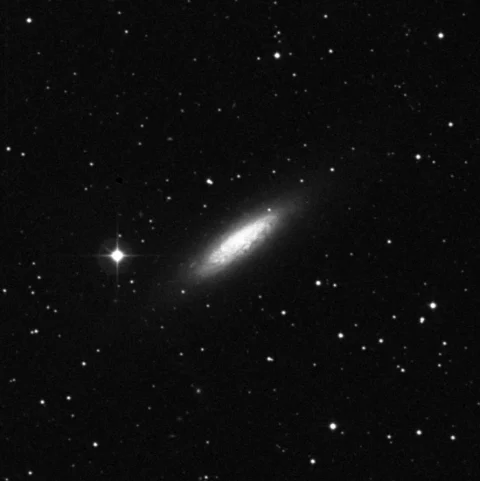 Imagem de referência (DSS2) de NGC 6503 — objeto ainda não capturado no observatório