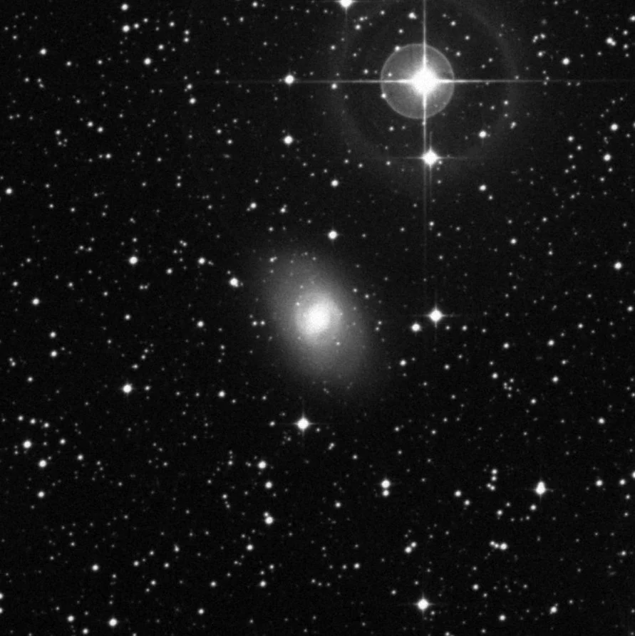 Imagem de referência (DSS2) de NGC 6684 — objeto ainda não capturado no observatório