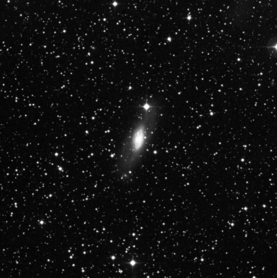 Imagem de referência (DSS2) de NGC 7013 — objeto ainda não capturado no observatório