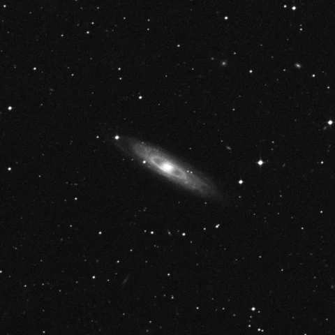 Imagem de referência (DSS2) de NGC 7184 — objeto ainda não capturado no observatório