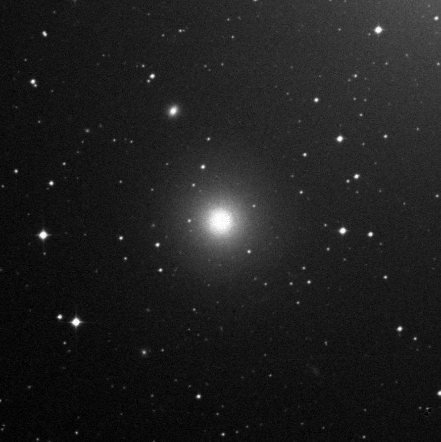 Imagem de referência (DSS2) de NGC 7213 — objeto ainda não capturado no observatório