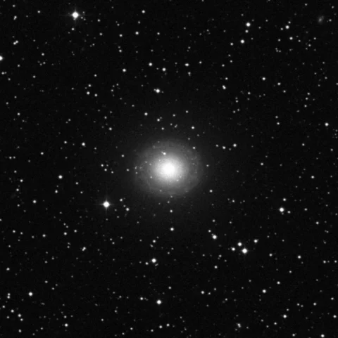 Imagem de referência (DSS2) de NGC 7217 — objeto ainda não capturado no observatório