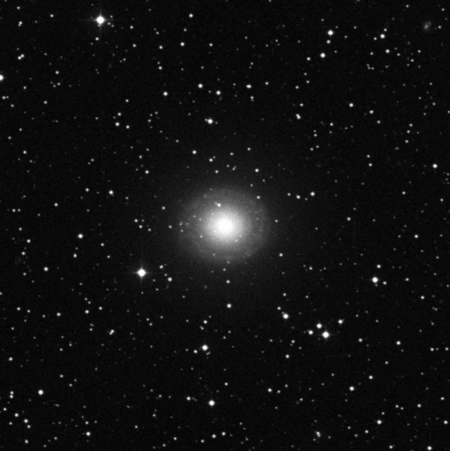 Imagem de referência (DSS2) de NGC 7217 — objeto ainda não capturado no observatório