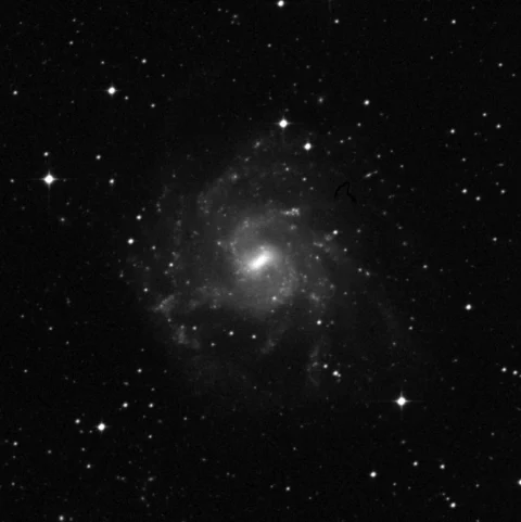 Imagem de referência (DSS2) de NGC 7424 — objeto ainda não capturado no observatório