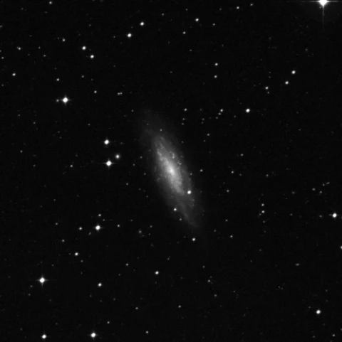 Imagem de referência (DSS2) de NGC 7456 — objeto ainda não capturado no observatório