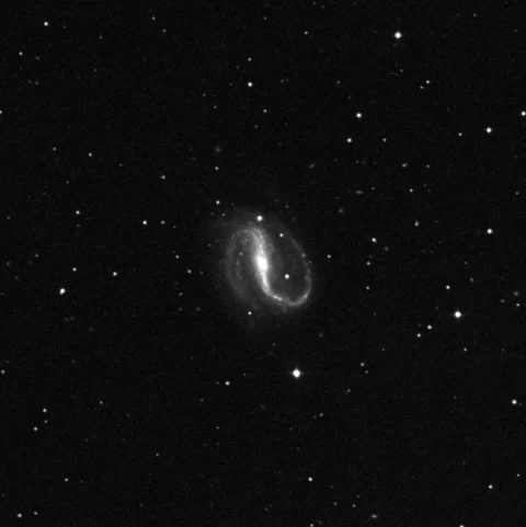 Imagem de referência (DSS2) de NGC 7479 — objeto ainda não capturado no observatório