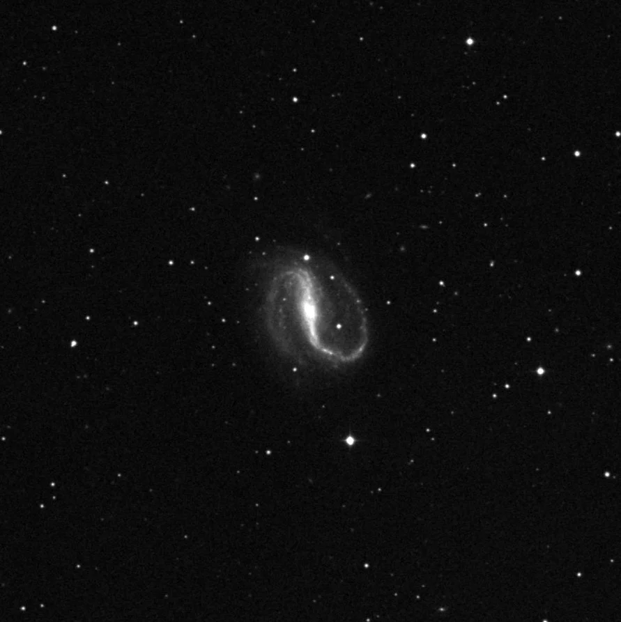 Imagem de referência (DSS2) de NGC 7479 — objeto ainda não capturado no observatório
