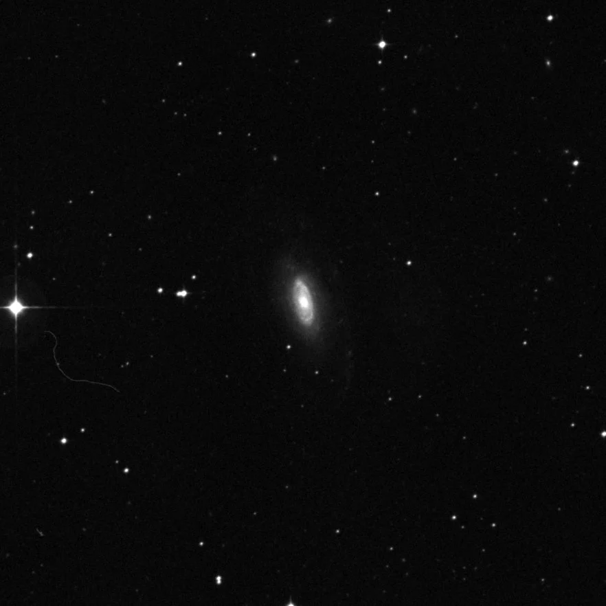 Imagem de referência (DSS2) de NGC 7531 — objeto ainda não capturado no observatório