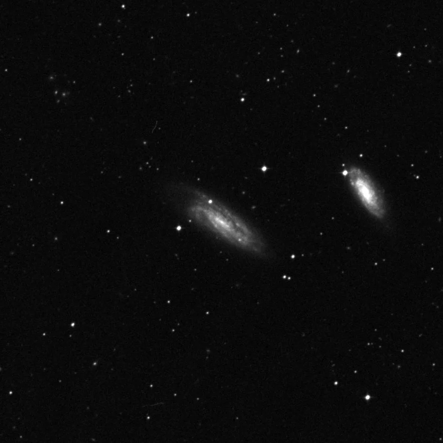 Imagem de referência (DSS2) de NGC 7599 — objeto ainda não capturado no observatório