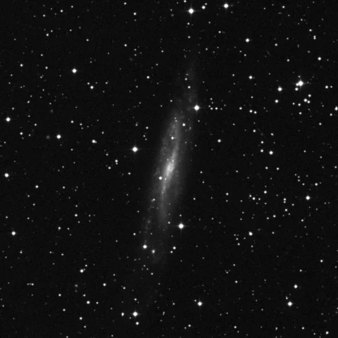 Imagem de referência (DSS2) de NGC 7640 — objeto ainda não capturado no observatório