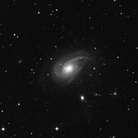 Imagem de referência (DSS2) de NGC 772 — objeto ainda não capturado no observatório