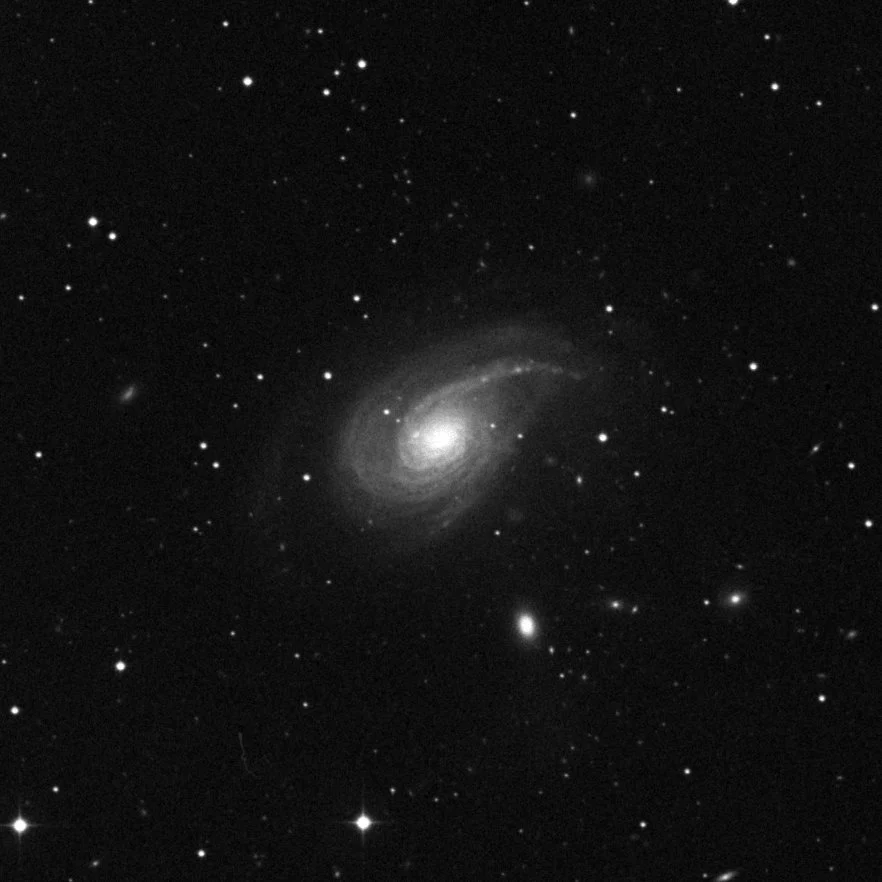 Imagem de referência (DSS2) de NGC 772 — objeto ainda não capturado no observatório