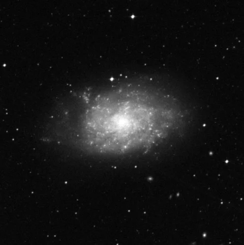 Imagem de referência (DSS2) de NGC 7793 — objeto ainda não capturado no observatório