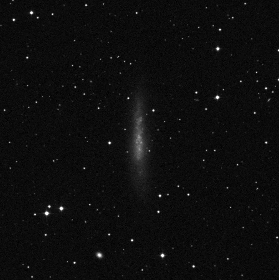 Imagem de referência (DSS2) de NGC 784 — objeto ainda não capturado no observatório