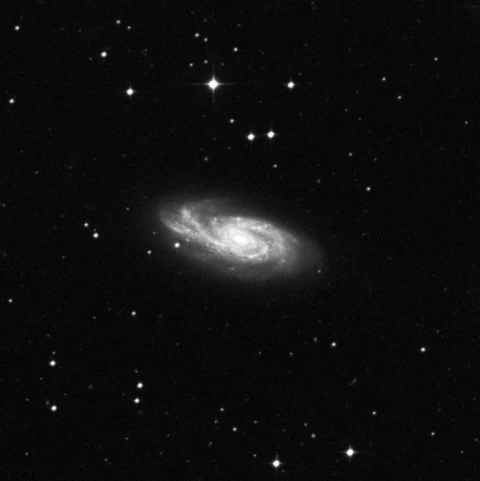 Imagem de referência (DSS2) de NGC 908 — objeto ainda não capturado no observatório