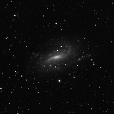 Imagem de referência (DSS2) de NGC 925 — objeto ainda não capturado no observatório
