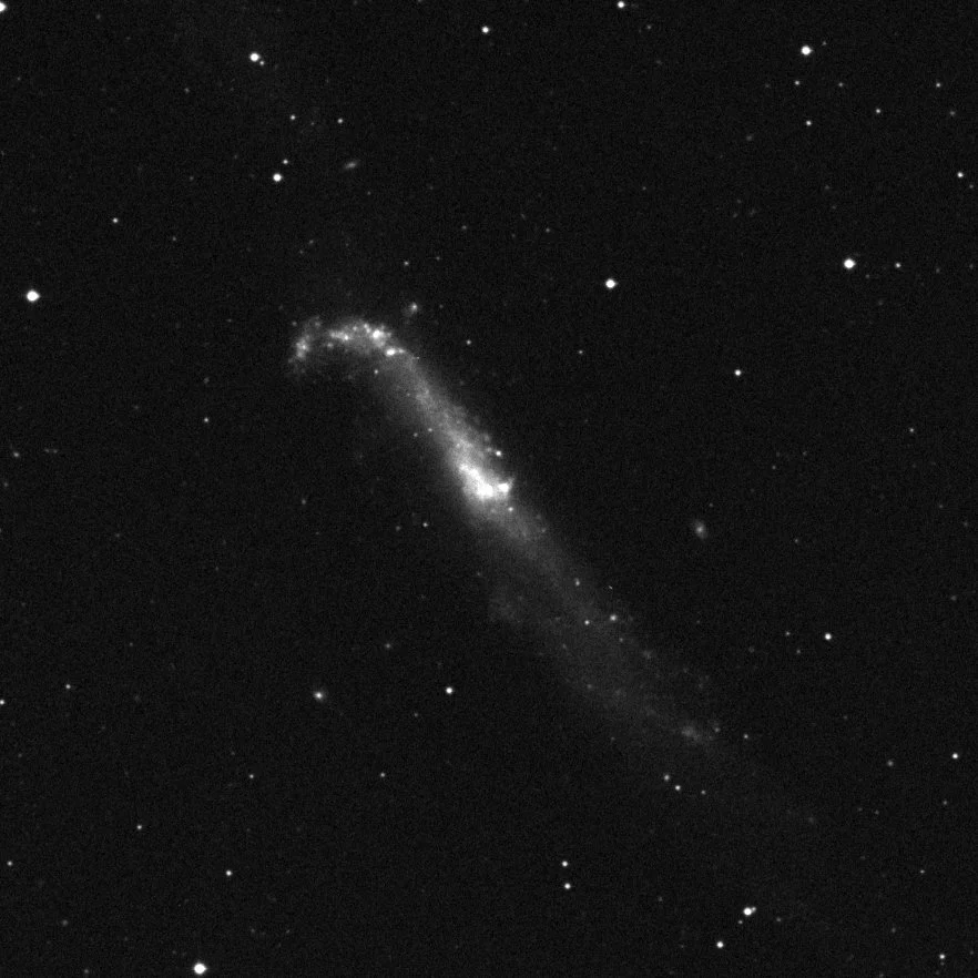 Imagem de referência (DSS2) de NGC4656 NED01 — objeto ainda não capturado no observatório