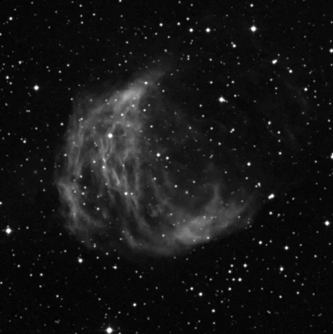 Imagem de referência (DSS2) de Sh2-274 — Medusa Nebula — objeto ainda não capturado no observatório