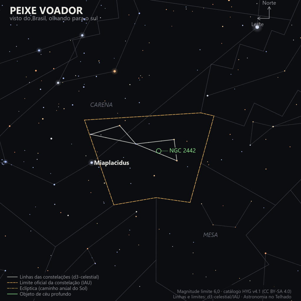 Carta estelar de Peixe Voador como aparece do Brasil, olhando para o sul: Miaplacidus, de Carena, como referência à esquerda, o quadrilátero fraco de Peixe Voador no centro, e a galáxia NGC 2442 marcada em verde